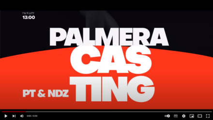 palmeracastingwwa